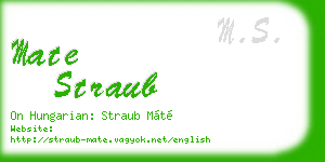 mate straub business card